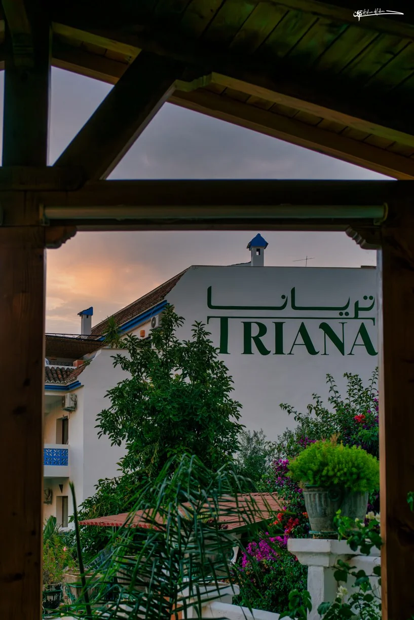 Cocktail preparation at Triana rooftop restaurant in Chefchaouen